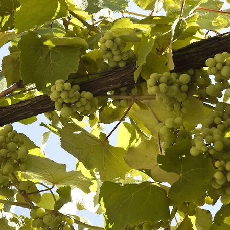 Nocleg ze śniadaniem Casa Do Ameal Viana do Castelo