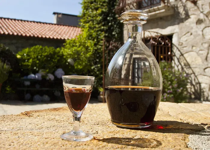 Casa Do Ameal 4* Viana do Castelo